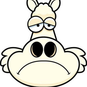 Meet your Posher, Maya